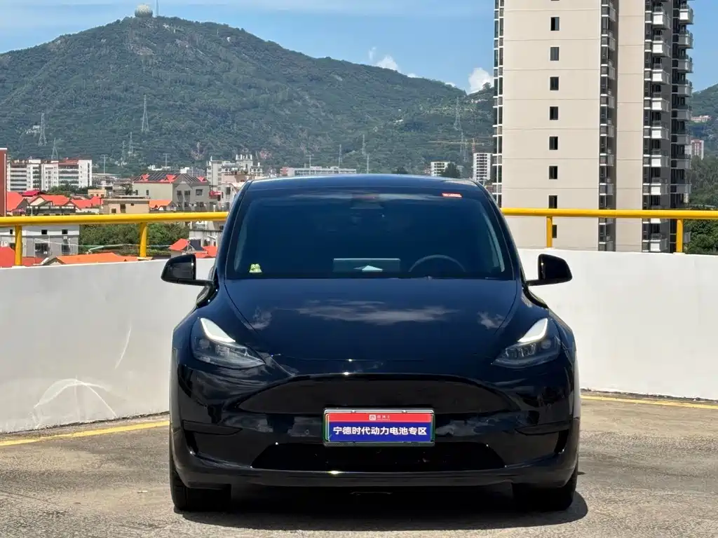 Tesla Model Y — фото 2