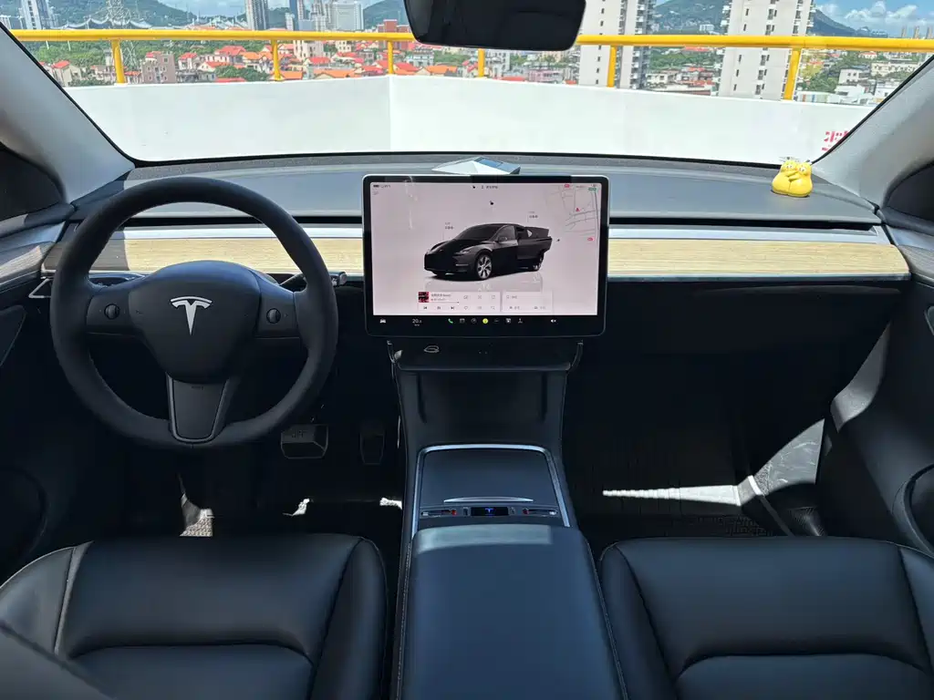 Tesla Model Y — фото 5