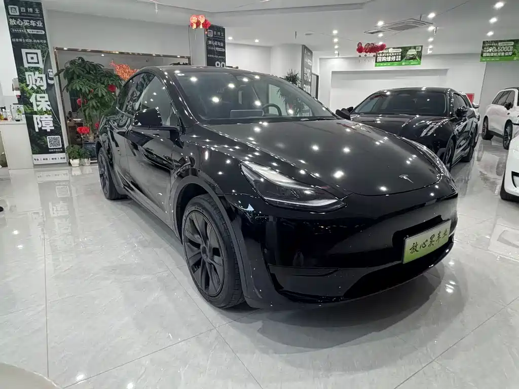 Tesla Model Y — фото 3
