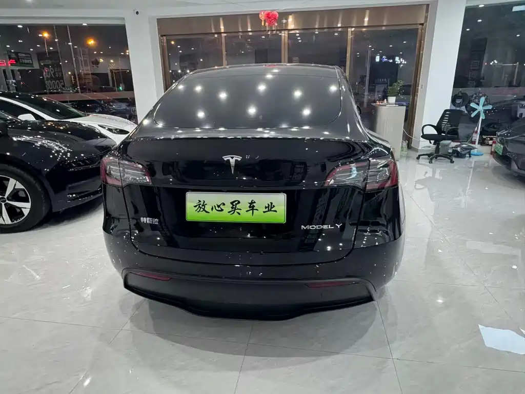 Tesla Model Y — фото 8