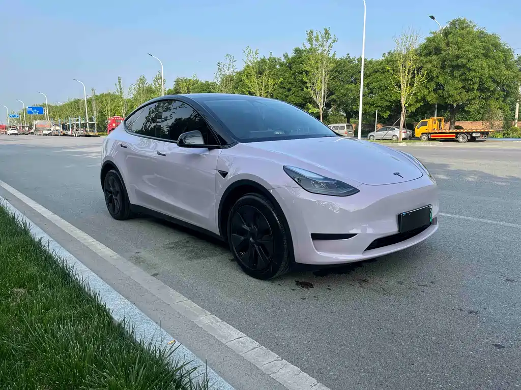 Tesla Model Y — фото 3