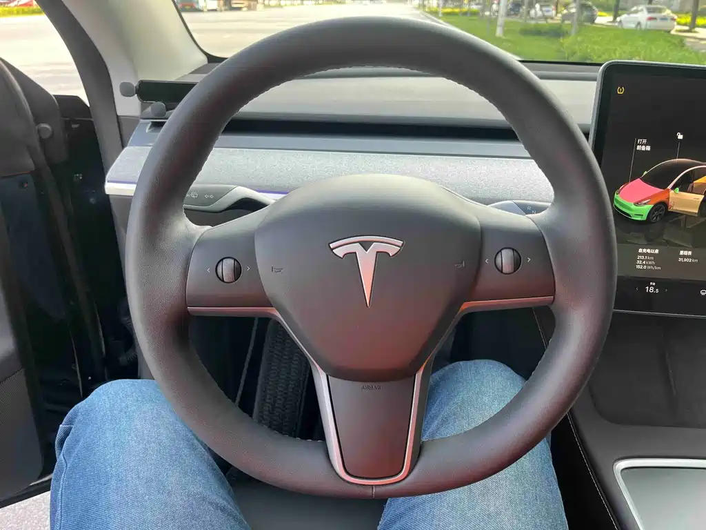 Tesla Model Y — фото 5