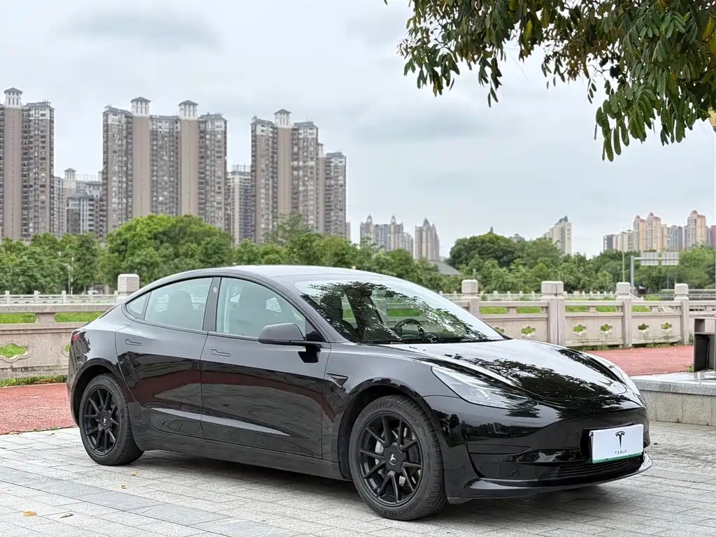 Tesla Model 3 — фото 3