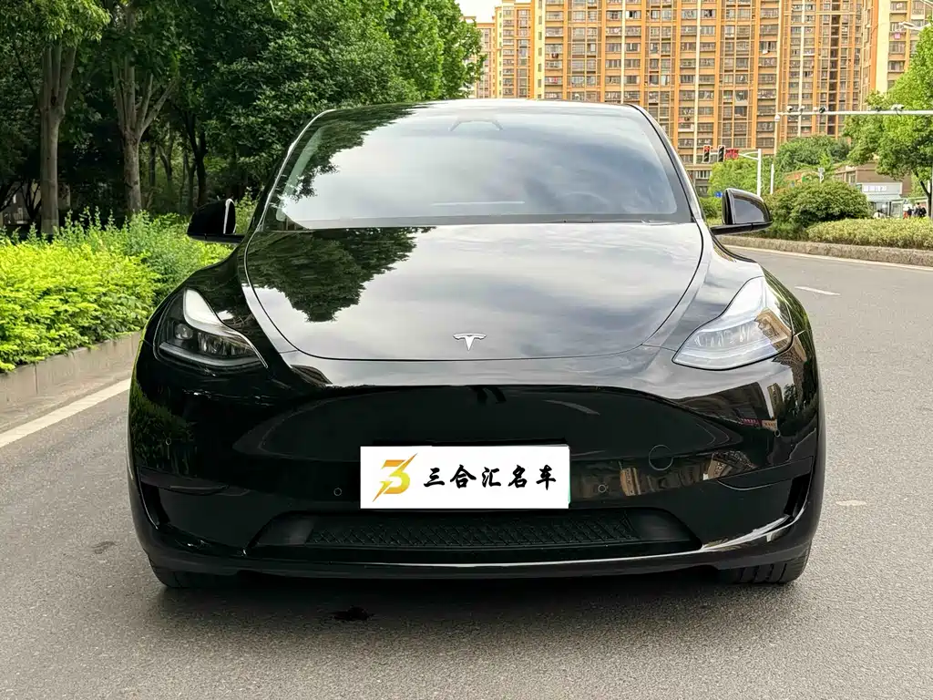 Tesla Model Y — фото 2