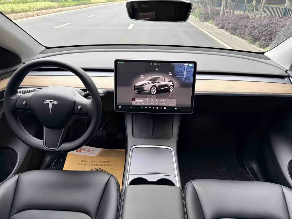 Tesla Model Y — фото 13