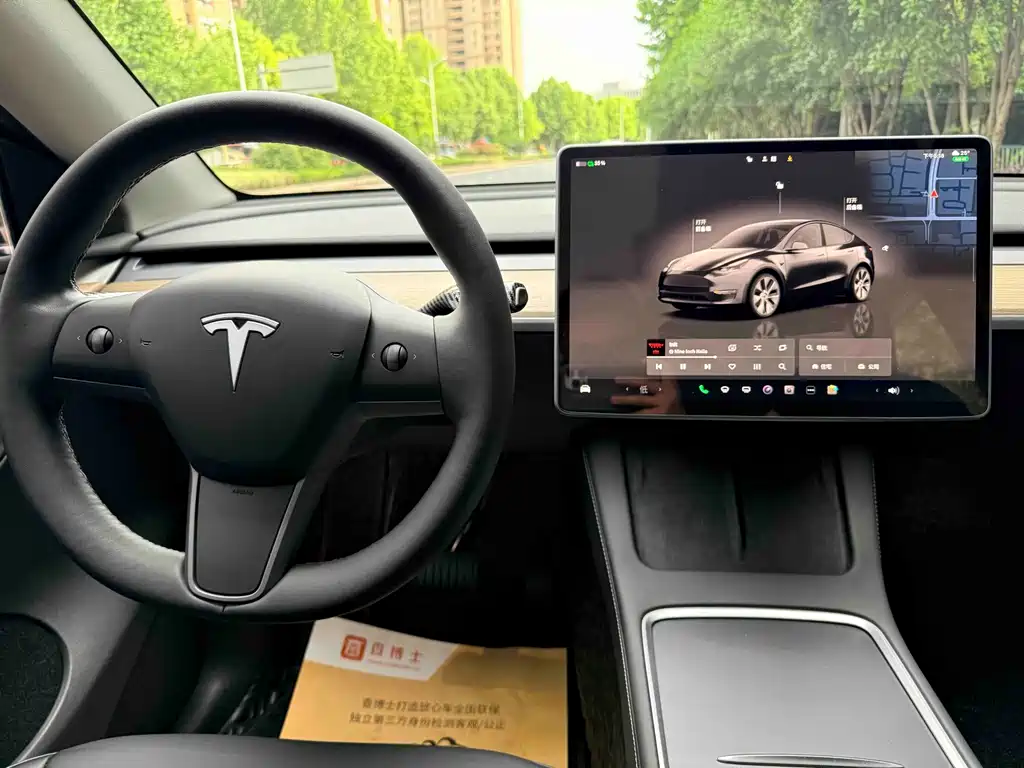 Tesla Model Y — фото 15