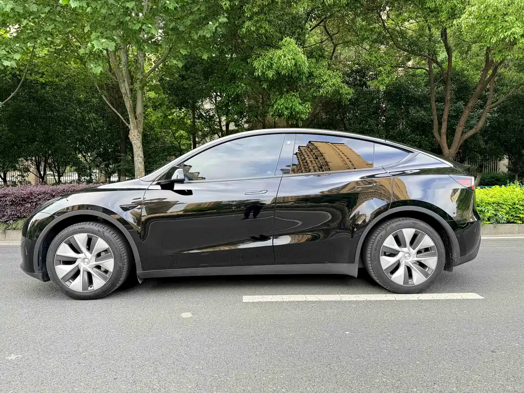 Tesla Model Y — фото 5