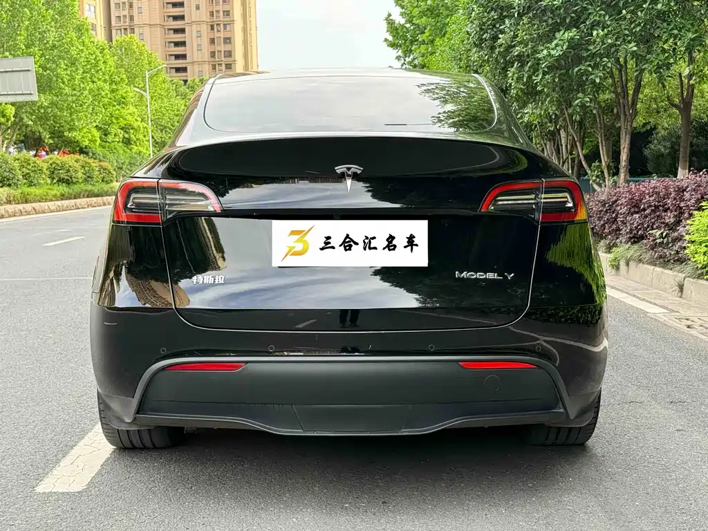 Tesla Model Y — фото 9