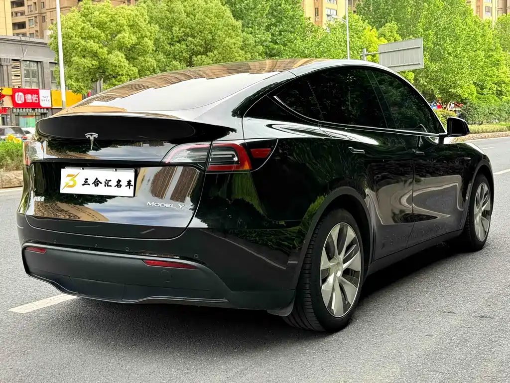 Tesla Model Y — фото 10