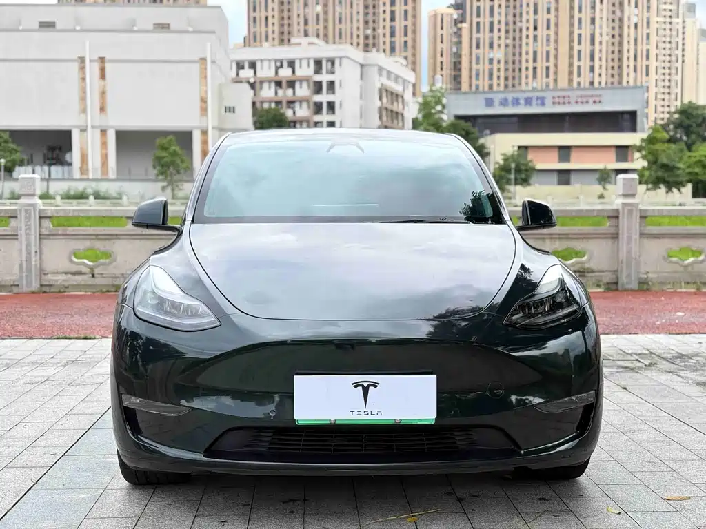 Tesla Model Y — фото 2