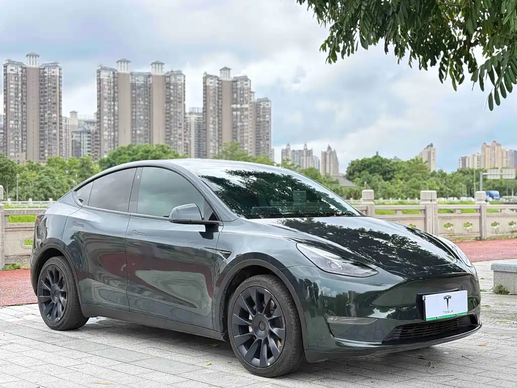 Tesla Model Y — фото 3