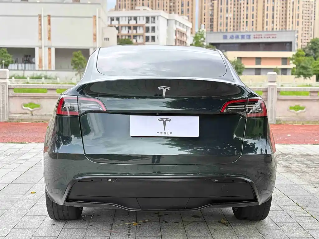 Tesla Model Y — фото 8