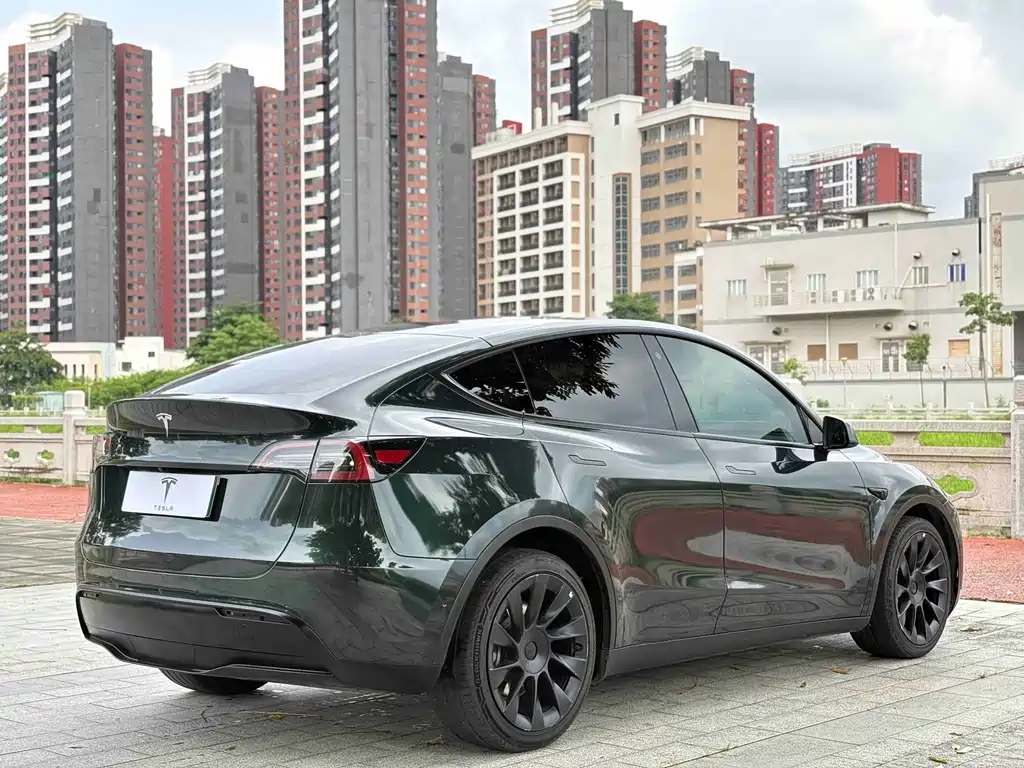 Tesla Model Y — фото 9