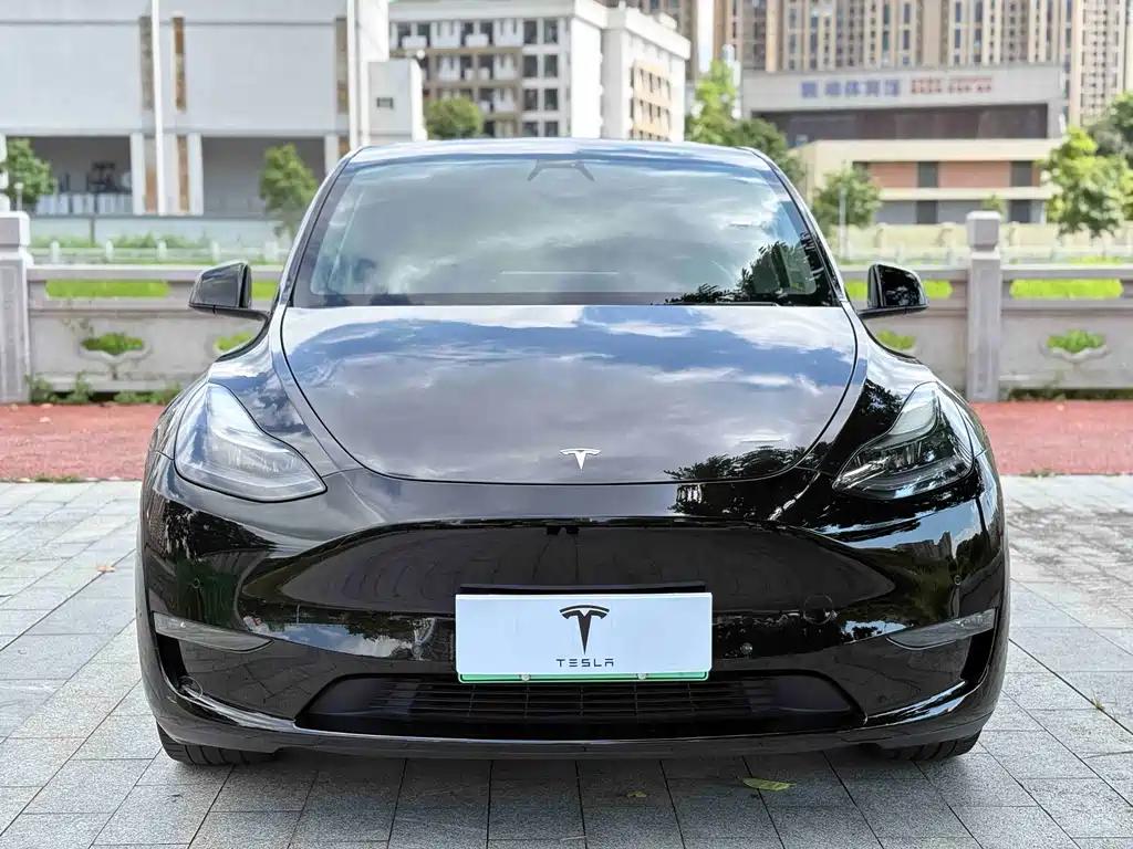 Tesla Model Y — фото 2
