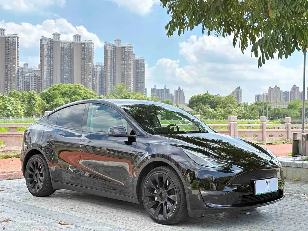 Tesla Model Y — фото 3