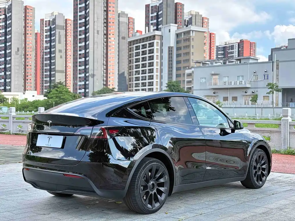 Tesla Model Y — фото 9