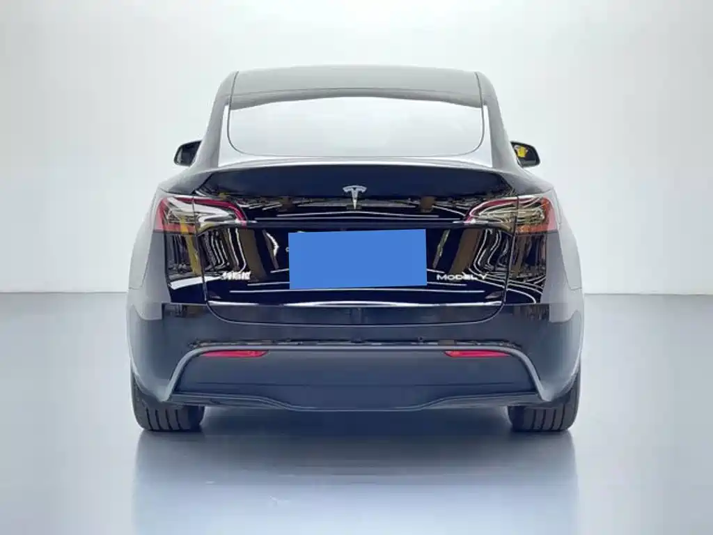 Tesla Model Y — фото 5
