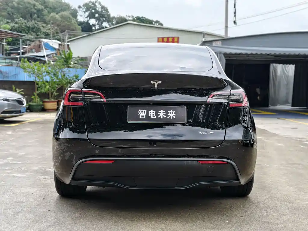 Tesla Model Y — фото 3