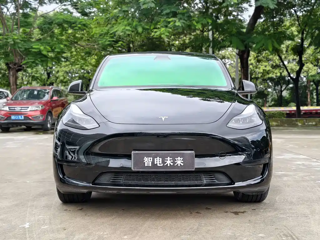 Tesla Model Y — фото 4