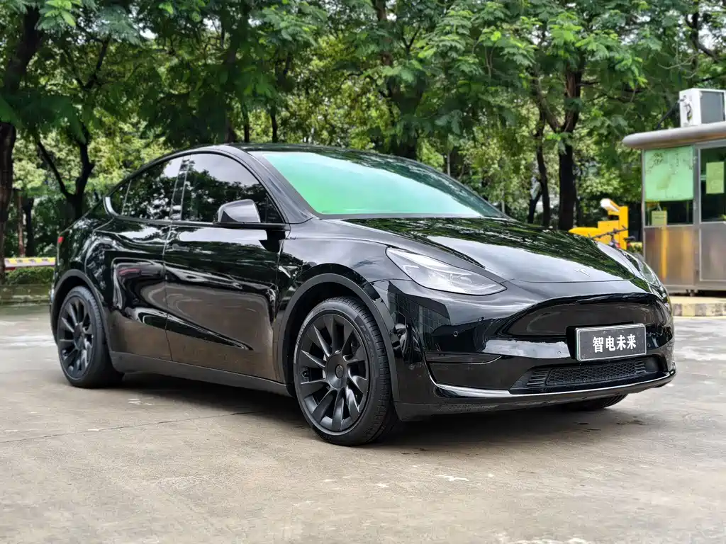 Tesla Model Y — фото 5