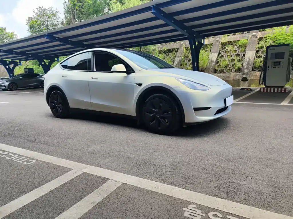 Tesla Model Y — фото 3