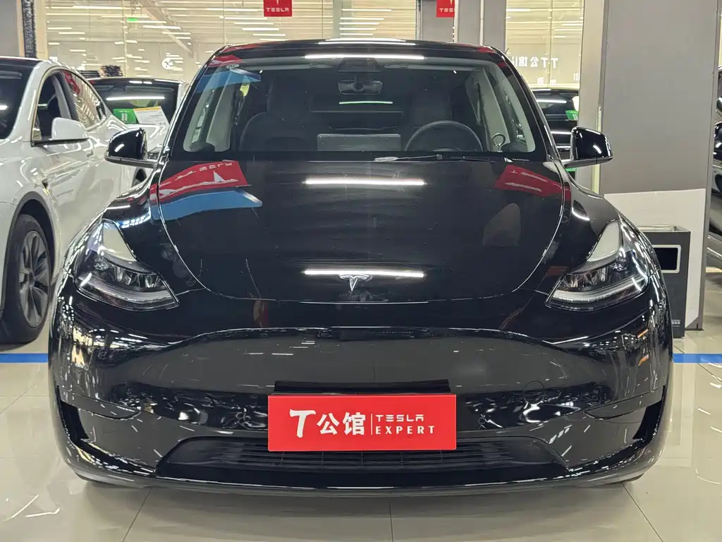Tesla Model Y — фото 2