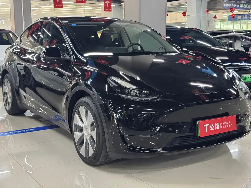 Tesla Model Y — фото 3