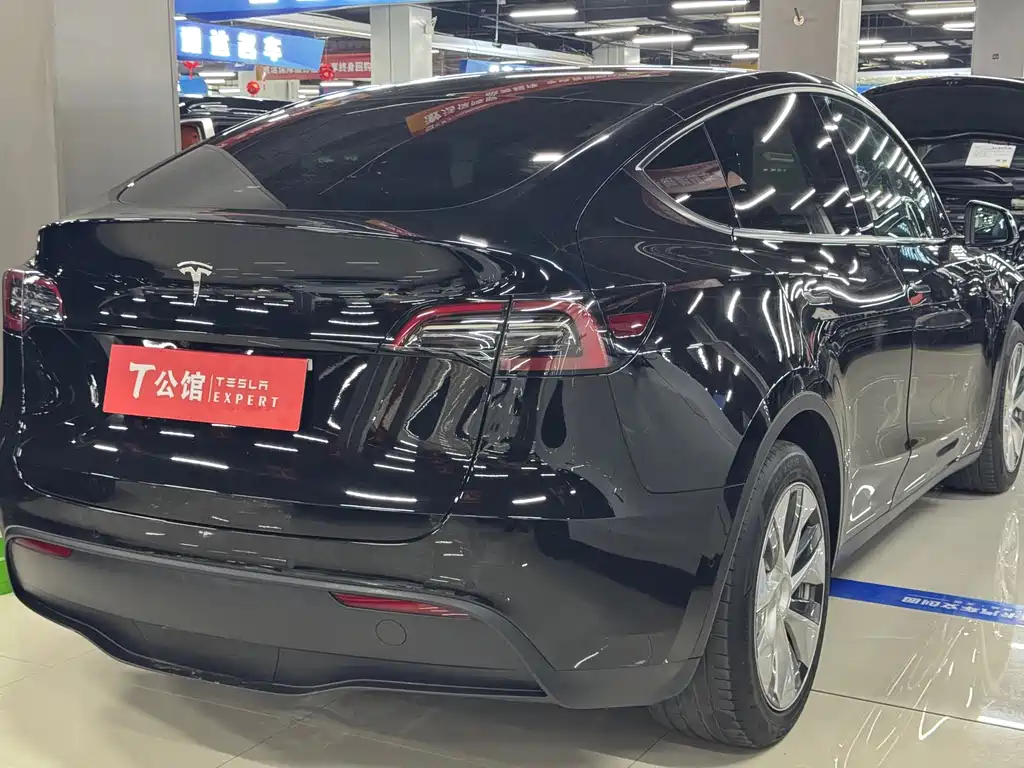 Tesla Model Y — фото 9