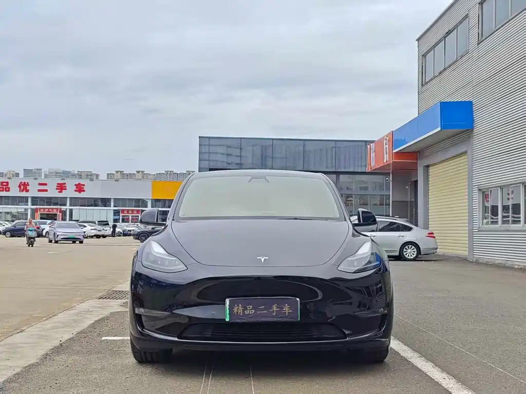 Tesla Model Y — фото 2