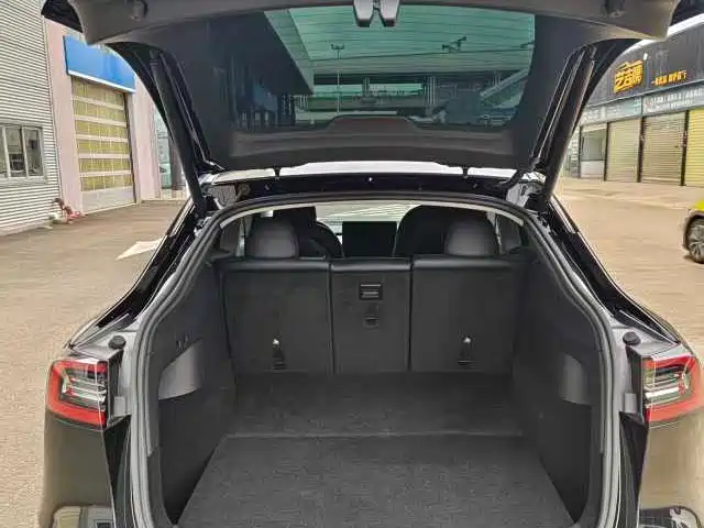 Tesla Model Y — фото 14