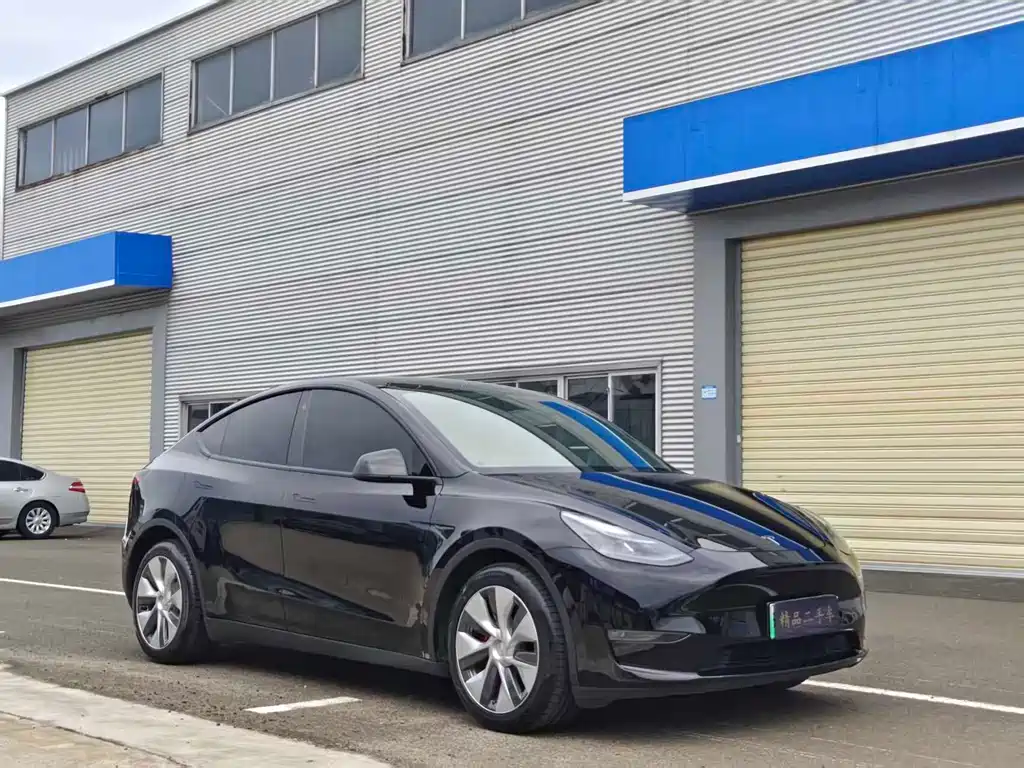 Tesla Model Y — фото 3