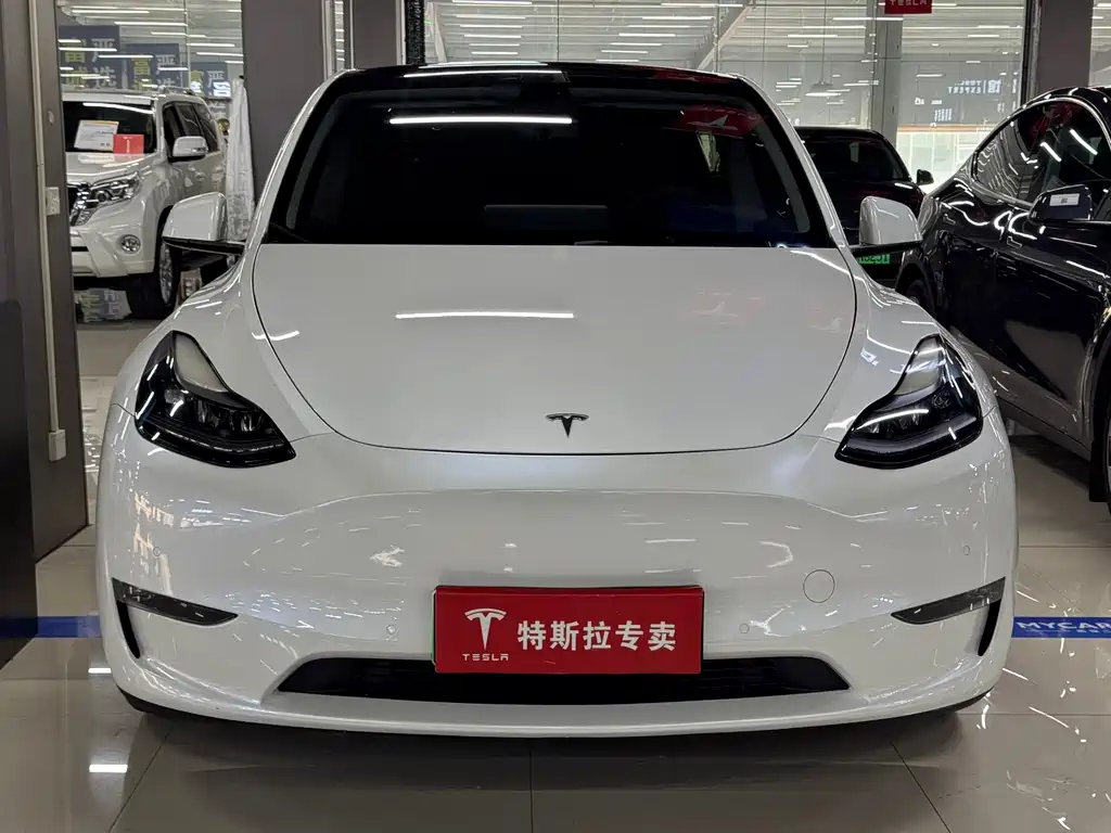 Tesla Model Y — фото 2