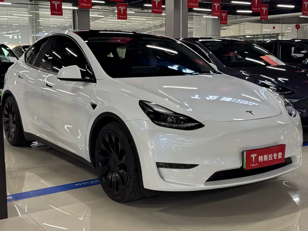 Tesla Model Y — фото 3