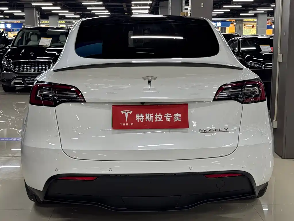 Tesla Model Y — фото 8