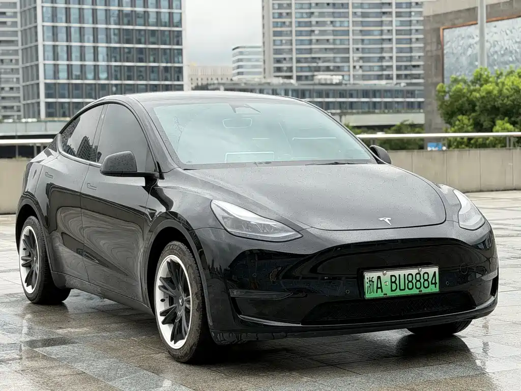 Tesla Model Y — фото 3