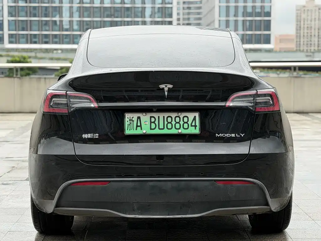 Tesla Model Y — фото 4