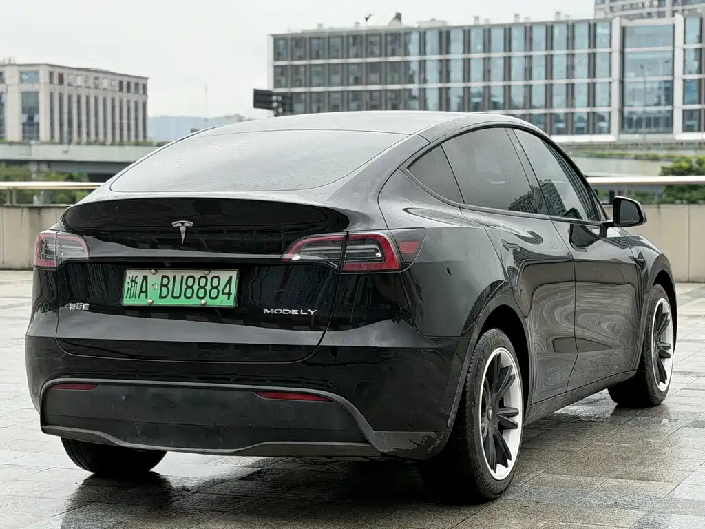 Tesla Model Y — фото 5