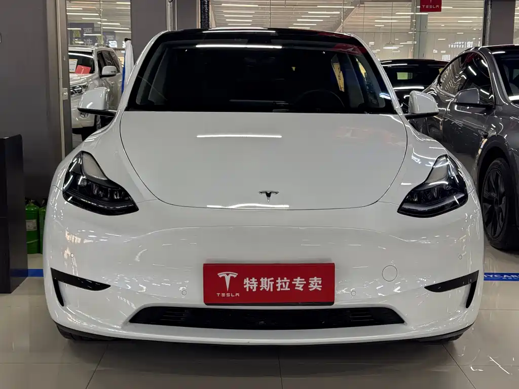 Tesla Model Y — фото 2