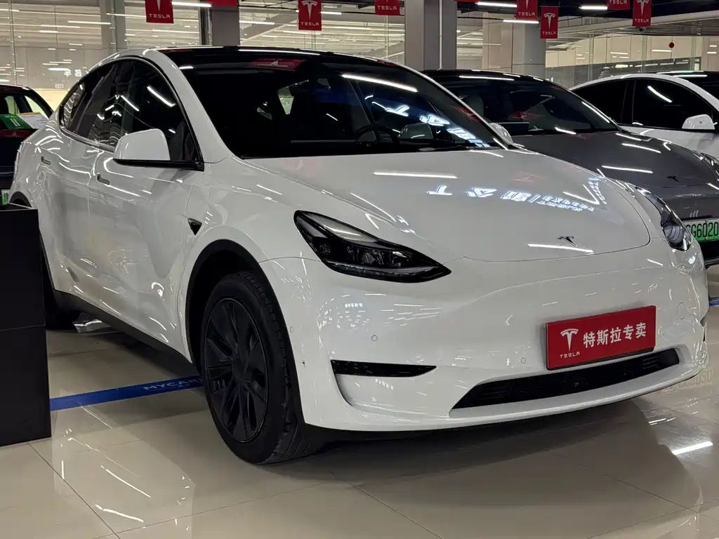Tesla Model Y — фото 3