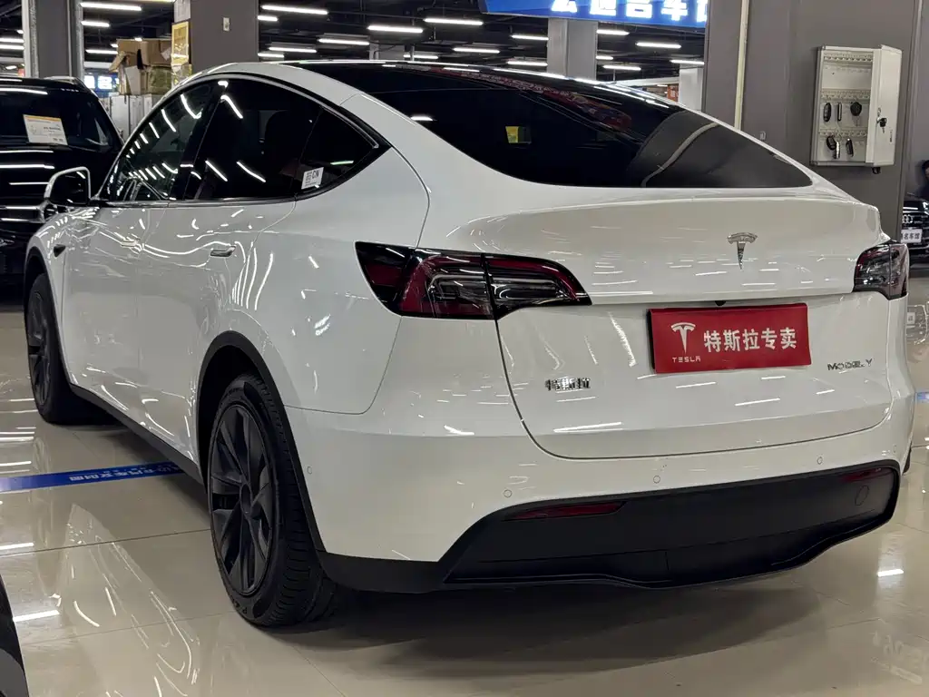 Tesla Model Y — фото 8