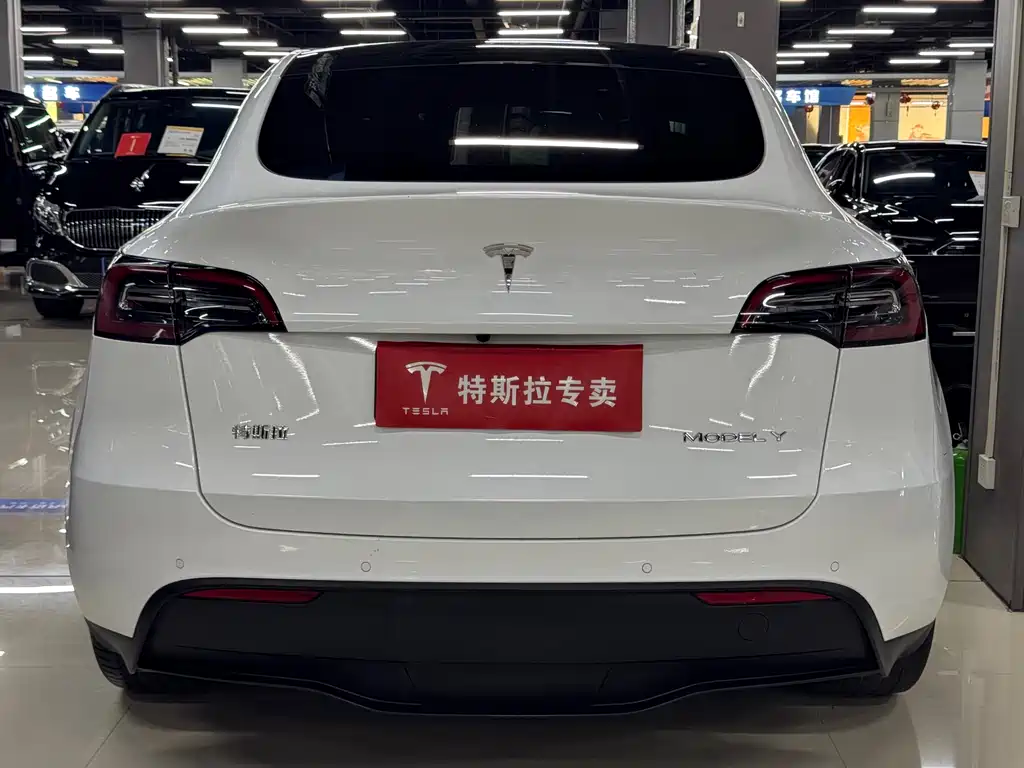 Tesla Model Y — фото 9