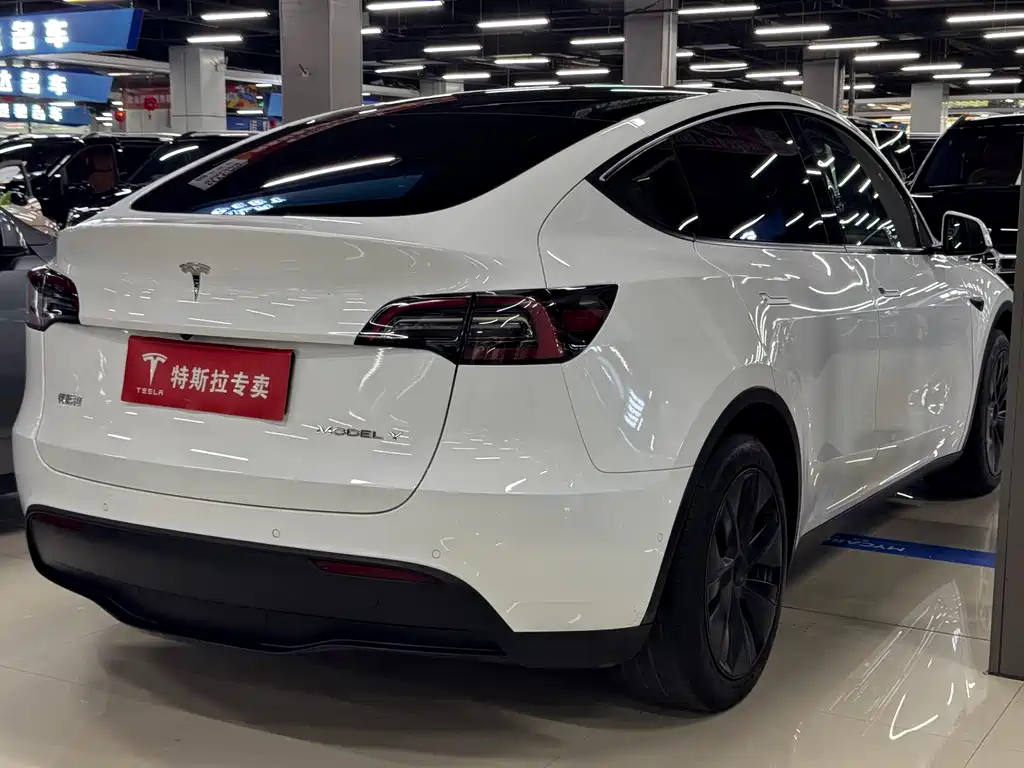 Tesla Model Y — фото 10