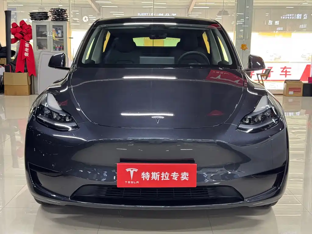 Tesla Model Y — фото 2