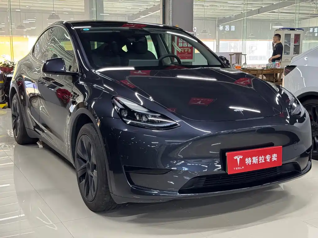Tesla Model Y — фото 3