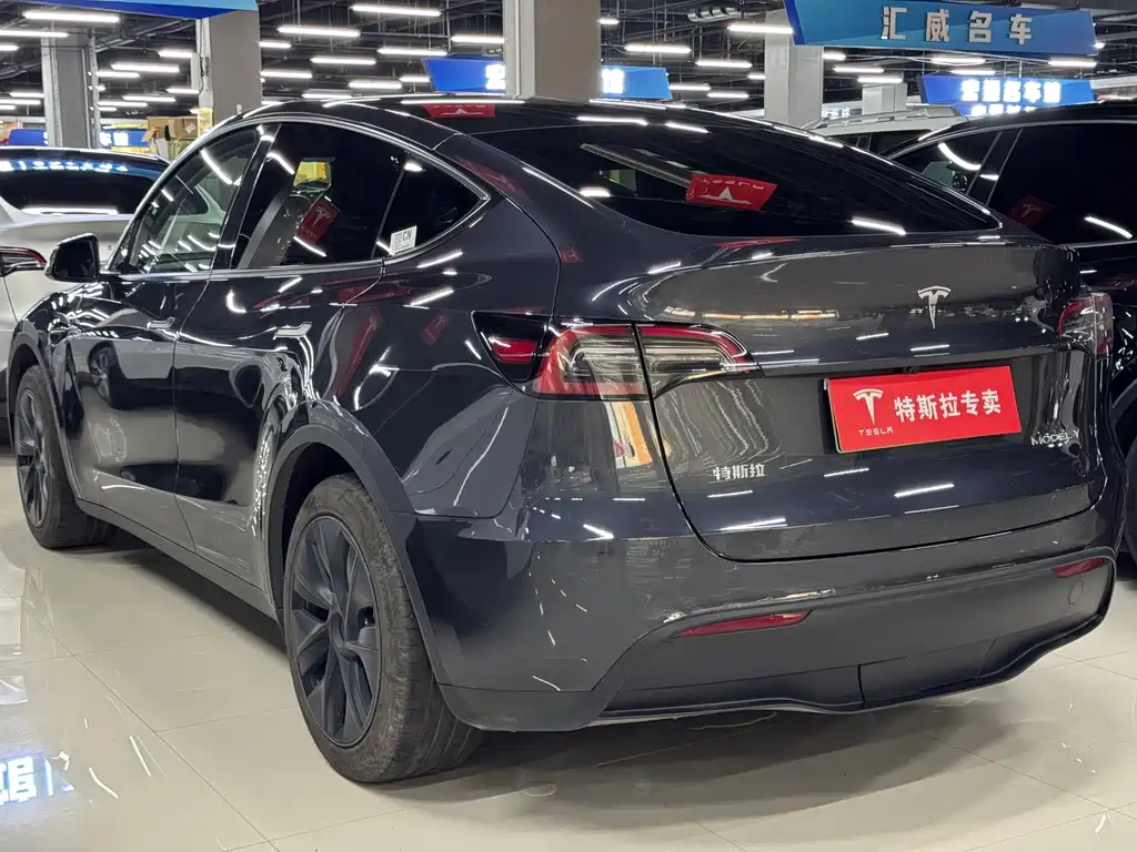 Tesla Model Y — фото 7