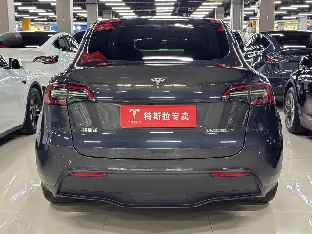 Tesla Model Y — фото 8