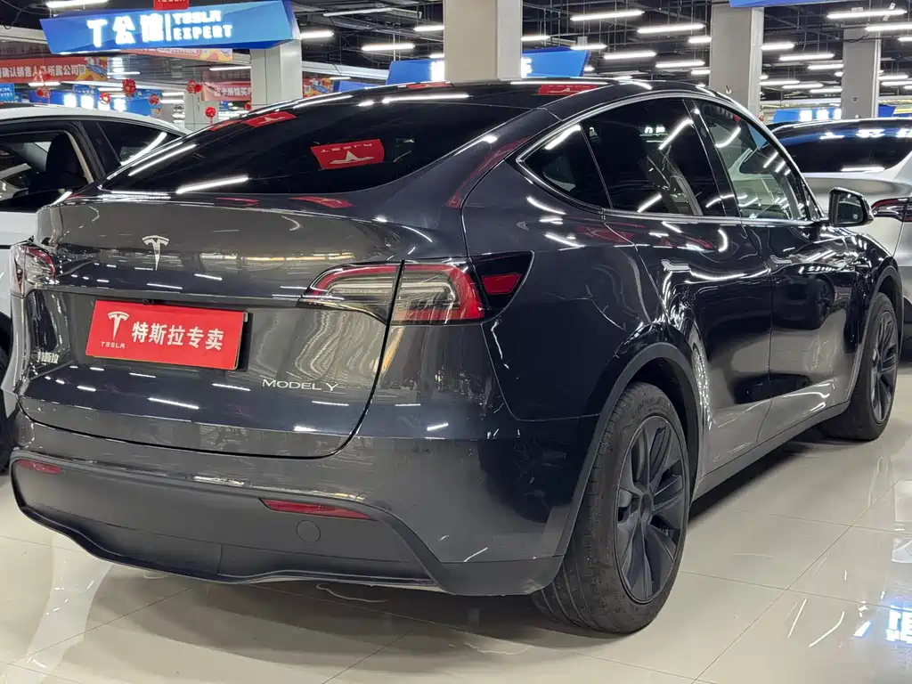 Tesla Model Y — фото 9