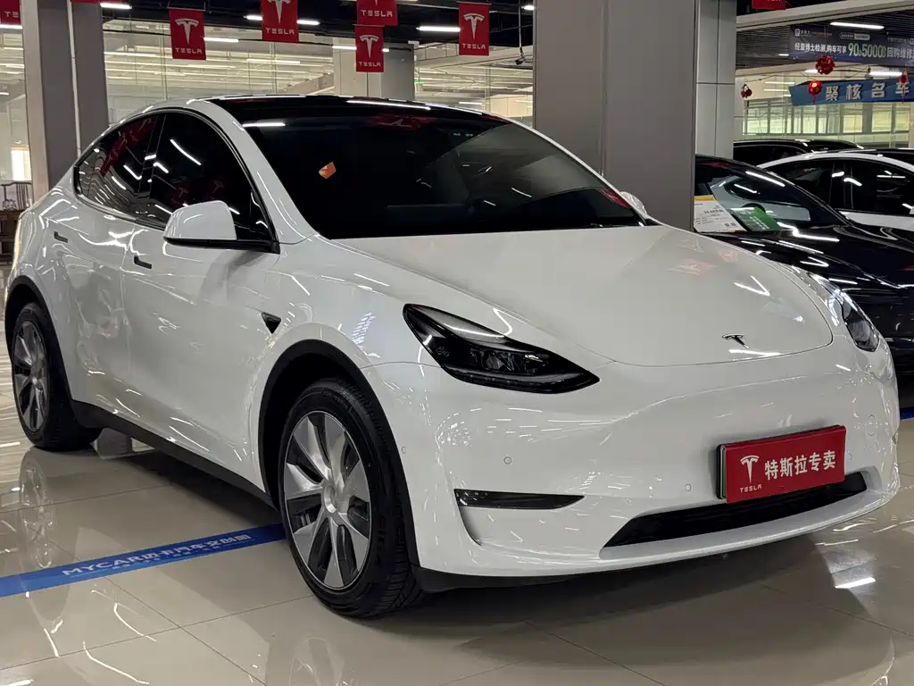 Tesla Model Y — фото 3