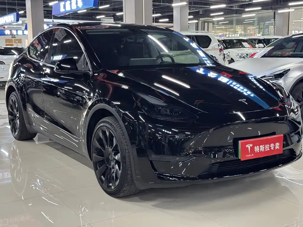 Tesla Model Y — фото 3