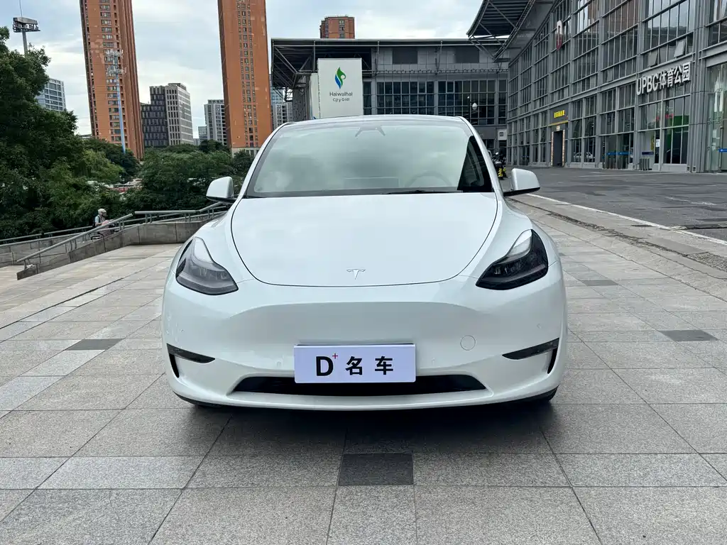 Tesla Model Y — фото 6